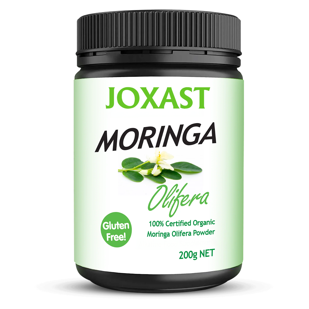 Moringa Oleifera: Antioxidant-Rich Superfood