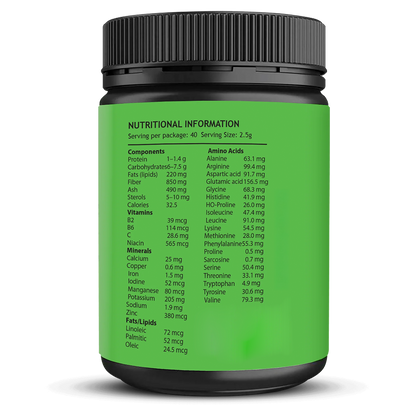 Moringa Oleifera: Antioxidant-Rich Superfood